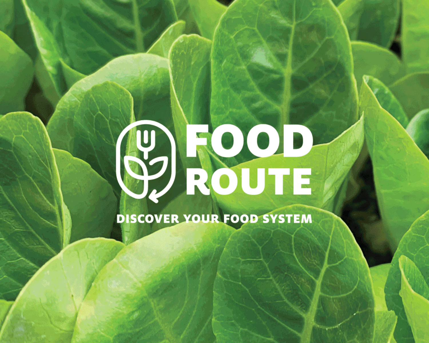 FoodRoute Branding Logo Overlay