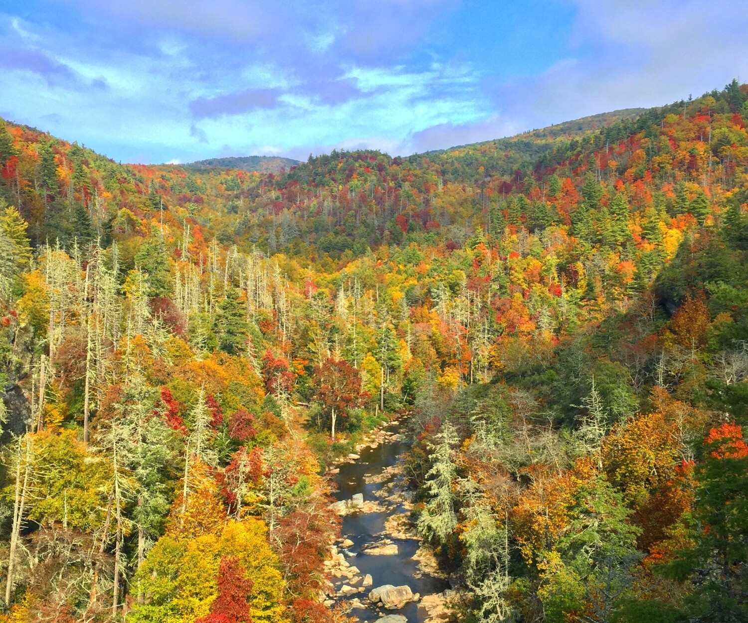 Linville Gorge Before Hurricane Helene