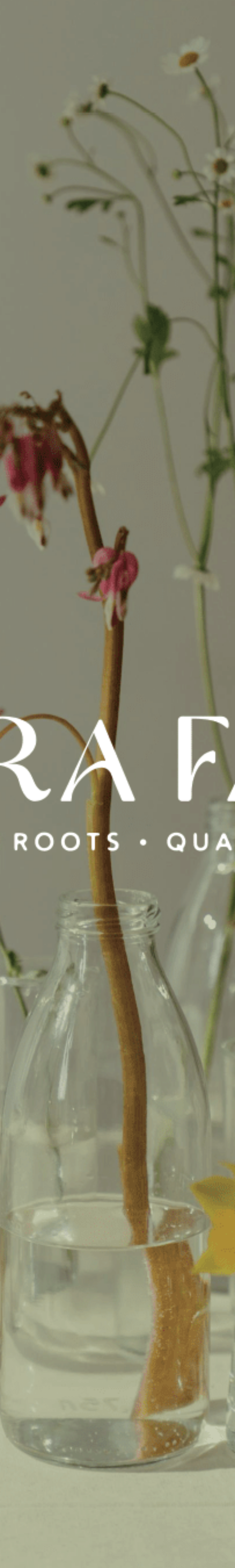 Flora Farm Branding Feature